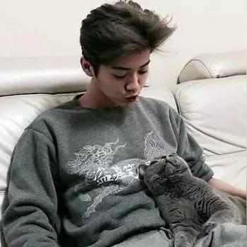 遇见猫咪命名技巧：猫咪改名方法全解析