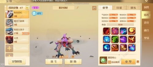 梦想新大陆宠物体型解析