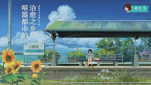 小森生活神社出行攻略