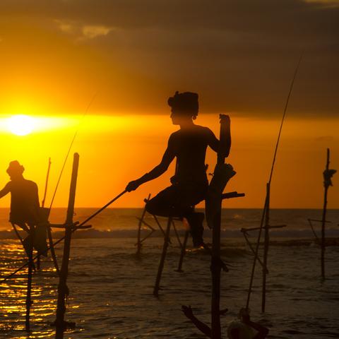 航海王热血航线小八技能属性解析