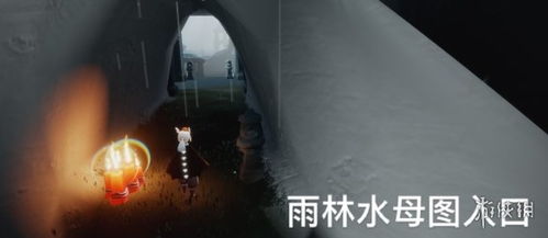光遇雨林神庙位置揭秘