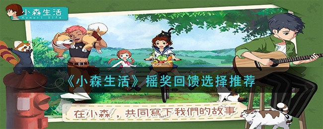 小森生活摇奖选品攻略，哪个更佳？