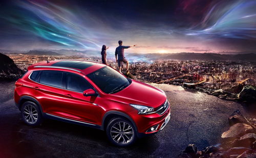 小森生活鸡王饲料制作与获取方法