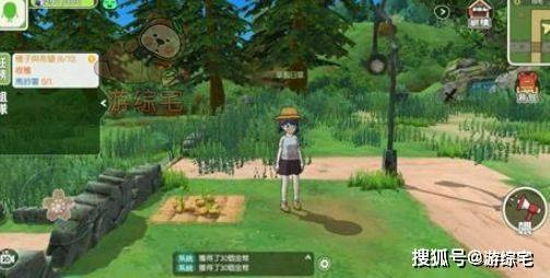 小森生活鸡王捕捉攻略