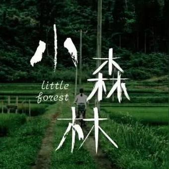 小森生活厨房搬家攻略