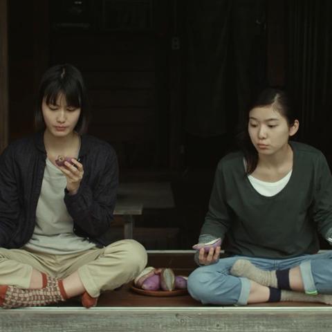 小森生活洋葱功效及获取途径