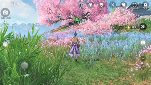 小森生活海之家怎么去 海之家攻略