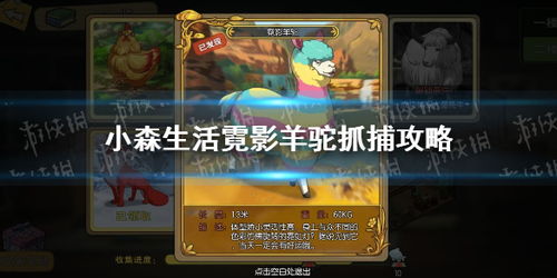 小森生活霓影羊驼位置查询