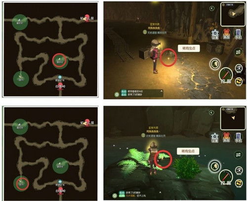 小森生活荧光粉位置攻略