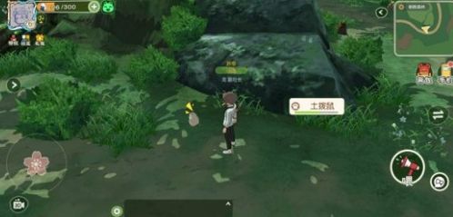 小森生活万能材料包缺陷解析及解决方案