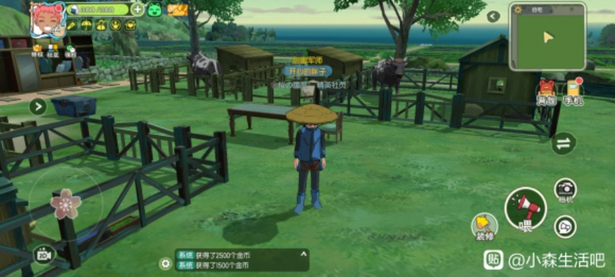 小森生活蘑菇位置揭秘