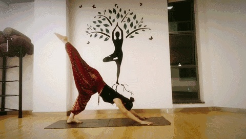 灵蛇腰瑜伽极致境界动态图