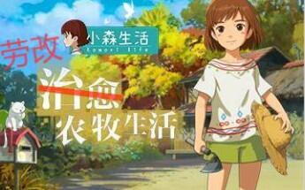 小森生活斧头获取攻略