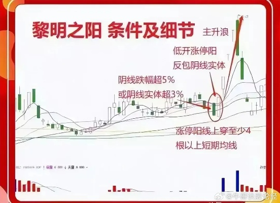 黎明交易所盈利策略揭秘