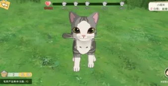 小森生活银猫币用途及使用指南