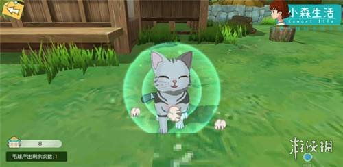 小森生活熊本熊位置揭晓