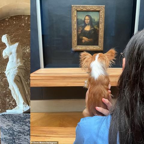 摩尔庄园手游餐厅升级攻略 快速提升技巧