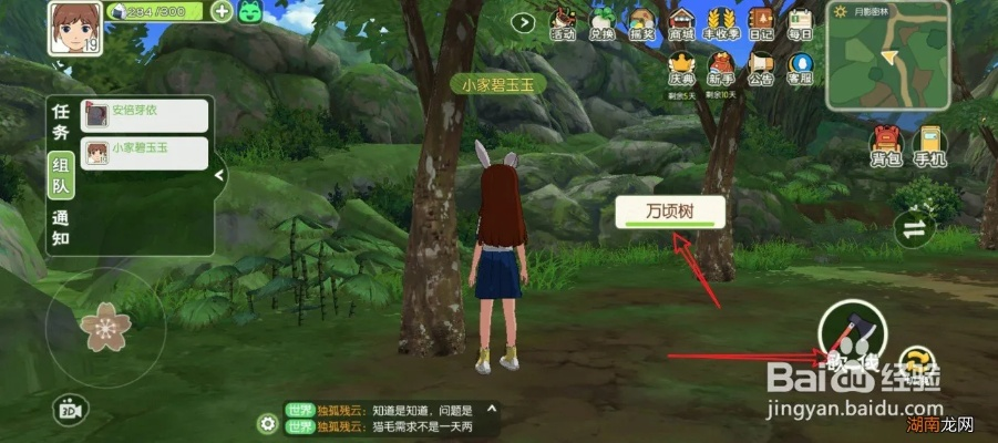 小森生活竹子分布地及更新周期