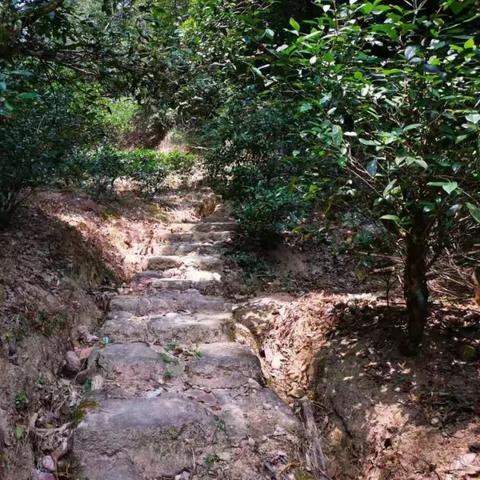 旧日传说探求者养成攻略，探求者排名解析