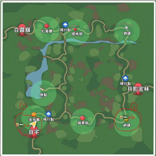 小森生活铜矿挖掘地点