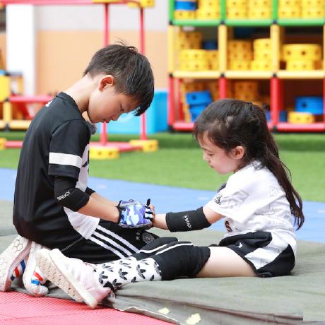 小森生活猫碗摆放技巧攻略