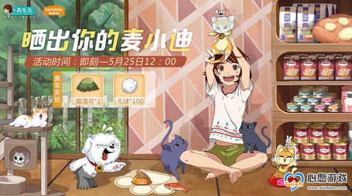 小森生活金贝壳获取攻略一览