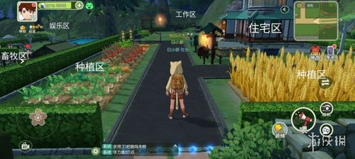 小森生活新手家园布置攻略