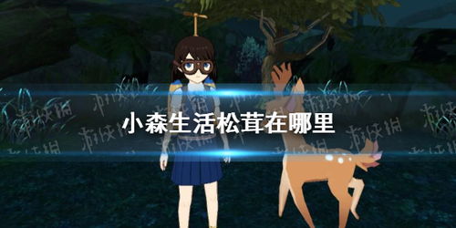 小森暮夕深林穿搭指南