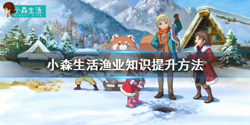 小森生活渔业玩法攻略