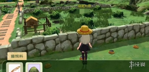 小森生活猫粮获取攻略全解析