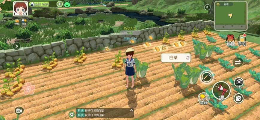 小森生活甘蔗种子购买途径