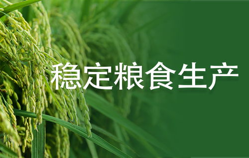 萌宅速生攻略：高效生育技巧