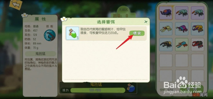 小森生活甲虫养护指南 甲虫训练技巧