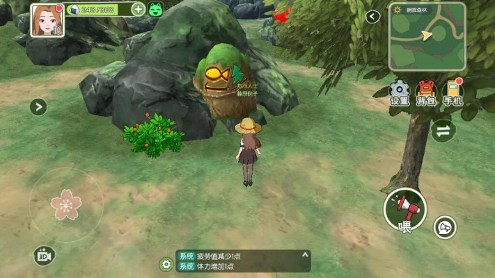 小森生活甲虫养护指南 甲虫训练技巧