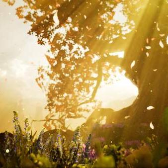 鬼泣巅峰之战叛逆之刃攻略：武器技能出招表