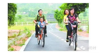 小森生活骑行技巧，高效骑车方法