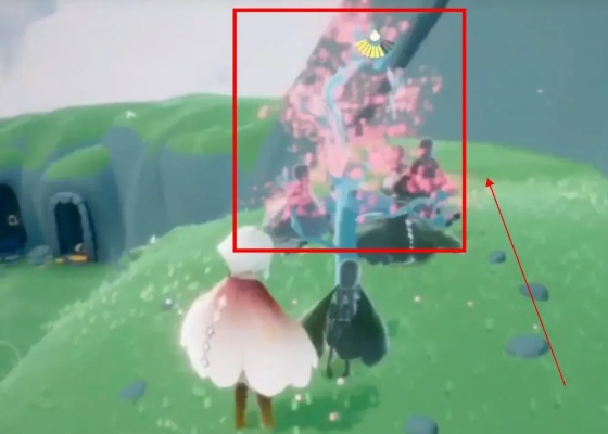 光遇雨林赏花地点揭秘