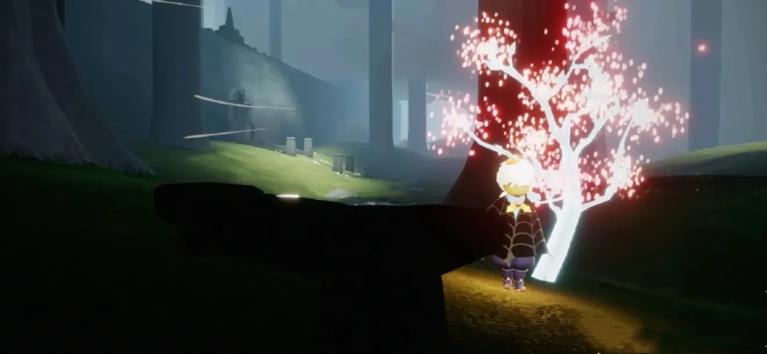 光遇雨林赏花地点揭秘