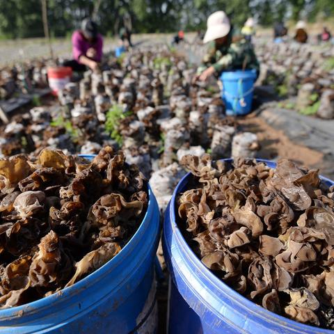 百分之一游戏实体卡获取攻略