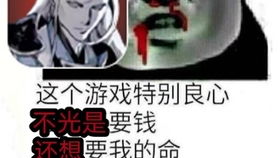 影之刃3九天翎羽抽不抽？心法强度解析