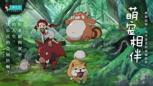 小森生活万顷木刷新频率