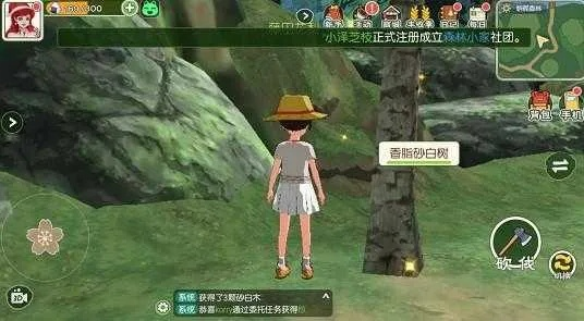 小森生活松纹树脂获取方法