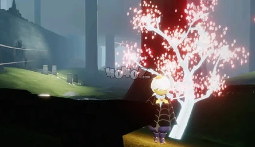 光遇霞谷小树苗位置