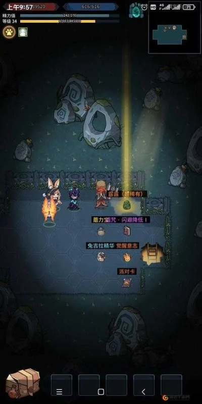 提灯地下城极品宠物刷法揭秘