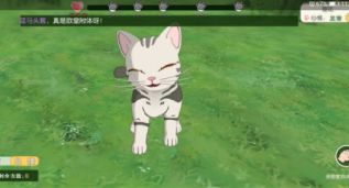 小森生活猫毛球获取攻略