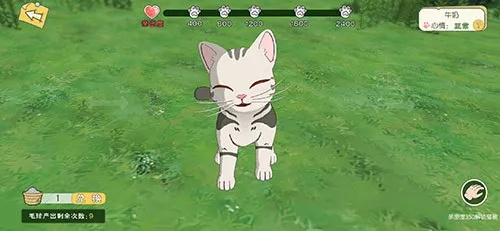 小森生活领养第二只猫攻略，猫咪领养步骤