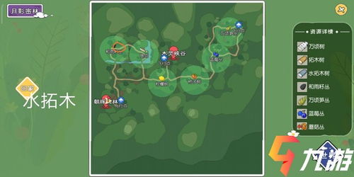 小森生活与雨籽丛位置揭秘