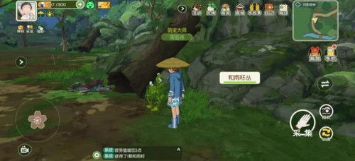 小森生活与雨籽丛位置揭秘