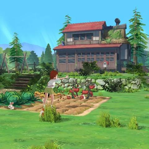 小森生活牧场建造攻略分享