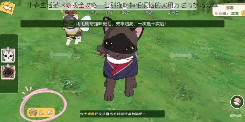 小森生活毛球获取攻略 撸猫技巧分享